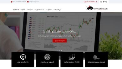 إنفستنغور – Investingor: خيارات الحسابات والرسوم، ماذا يجب أن تعرف قبل الانضمام؟