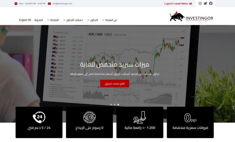 إنفستنغور – Investingor: خيارات الحسابات والرسوم، ماذا يجب أن تعرف قبل الانضمام؟